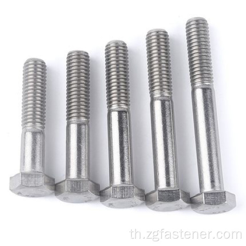 สแตนเลส 316 Hexagon Head Bolts DIN931